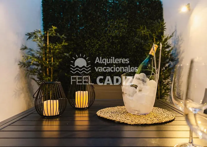 La Terraza Del Falla, Feel